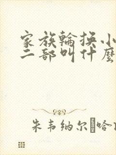 家族轮换小说第二部叫什么名字