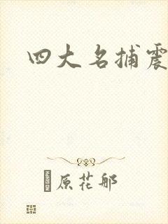 四大名捕震关东