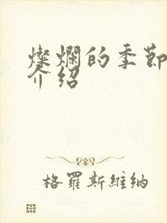 灿烂的季节剧情介绍