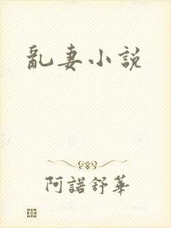 乱妻小说
