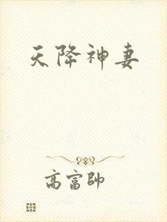 天降神妻封面