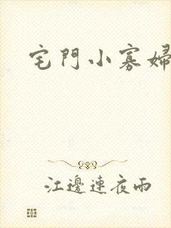 宅门小寡妇