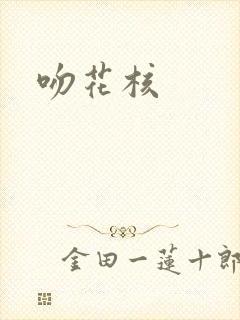 吻花核封面