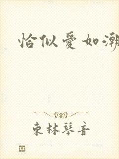 恰似爱如潮