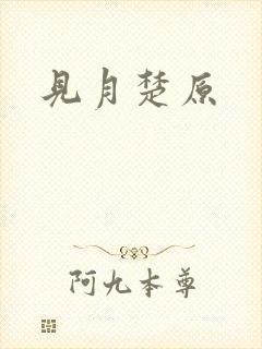 见月楚原封面