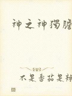 神之神独胆王