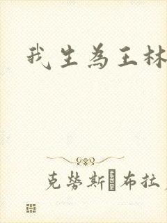我生为王林北