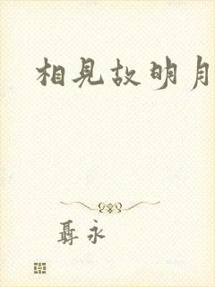相见故明月