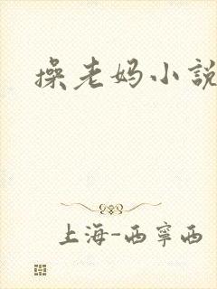 操老妈小说