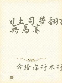 xl上司带翻译无马赛