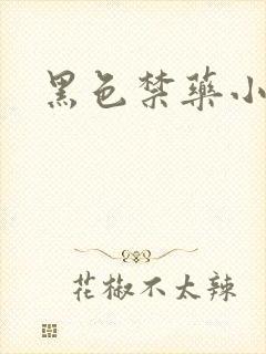 黑色禁药小说