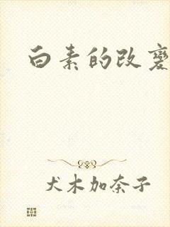 白素的改变