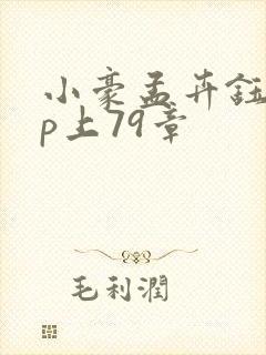 小豪孟卉钰慧三p上79章封面