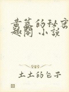 黄蓉的秘密 笔趣阁 小说