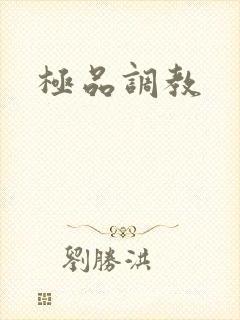 极品调教