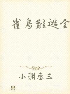 雀鸟难逃金笼封面