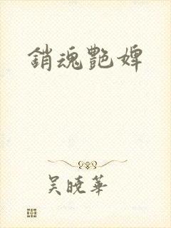 销魂艳婢封面