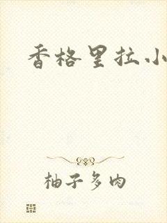 香格里拉小说封面