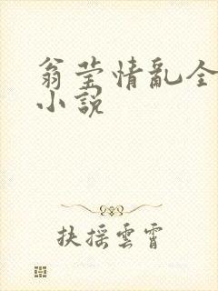 翁莹情乱全部篇小说封面