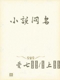 小说网名