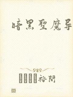 暗黑圣魔导