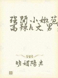 强开小嫩苞h文高辣h文男男封面