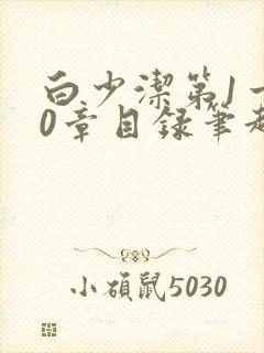 白少洁第1一40章目录笔趣阁封面
