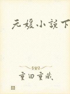 元媛小说下载