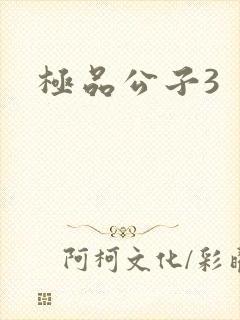 极品公子3