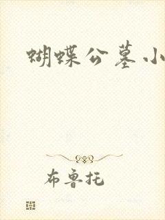蝴蝶公墓小说封面