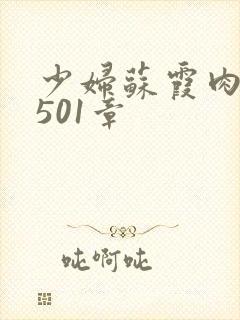 少妇苏霞肉欲第501章
