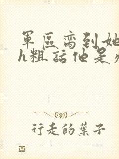 军区脔到她哭hh粗话他是疯批