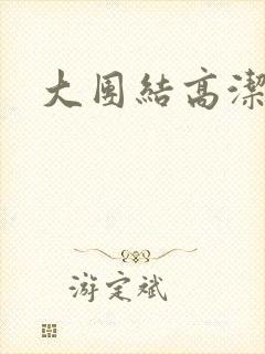 大团结高洁封面
