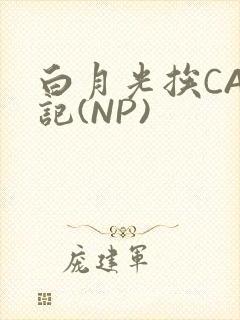 白月光挨CAO记(NP)