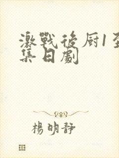 激战后厨1至5集日剧