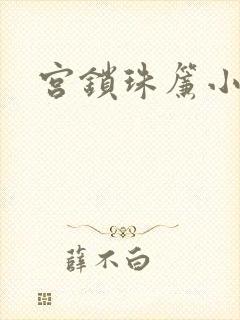 宫锁珠帘小说