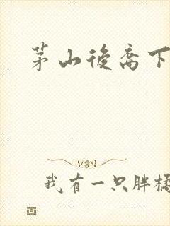 茅山后裔下载