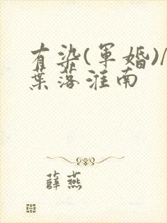 有染(军婚)/叶落淮南