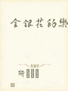 金银花的乐可封面