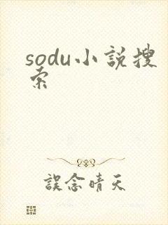 sodu小说搜索封面