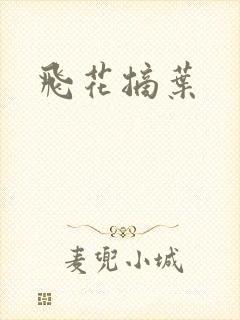 飞花摘叶封面