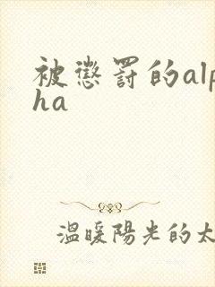 被惩罚的alpha封面