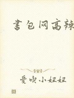 书包网高辣文