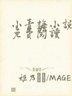 小青梅小说全文免费阅读