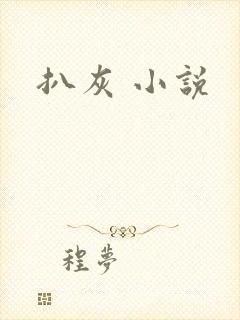 扒灰 小说封面