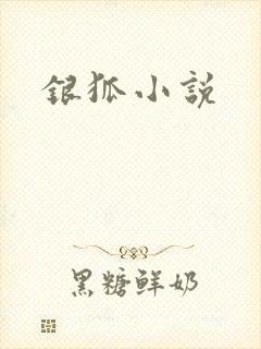 银狐小说封面