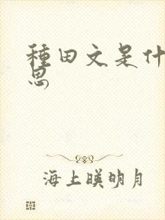 种田文是什么意思