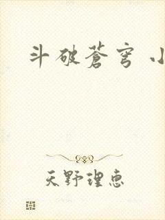 斗破苍穹 小说