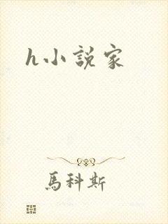 h小说家