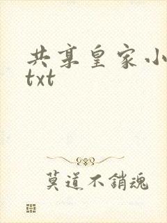 共享皇家小公主txt